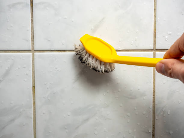 Best Attic Mold Removal  in Belville, NC