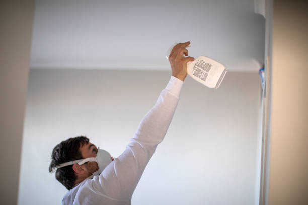 Best Mold Removal Process  in Belville, NC
