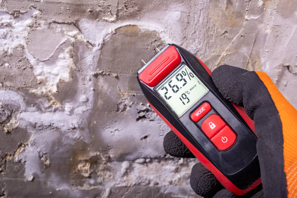 Best Mold Cleaning Services  in Belville, NC