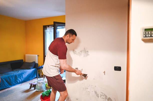 Best Certified Mold Removal  in Belville, NC